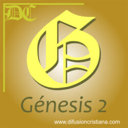 genesis2