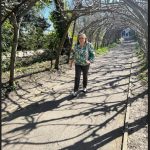 sombras enramadas 2026 03 27 140219