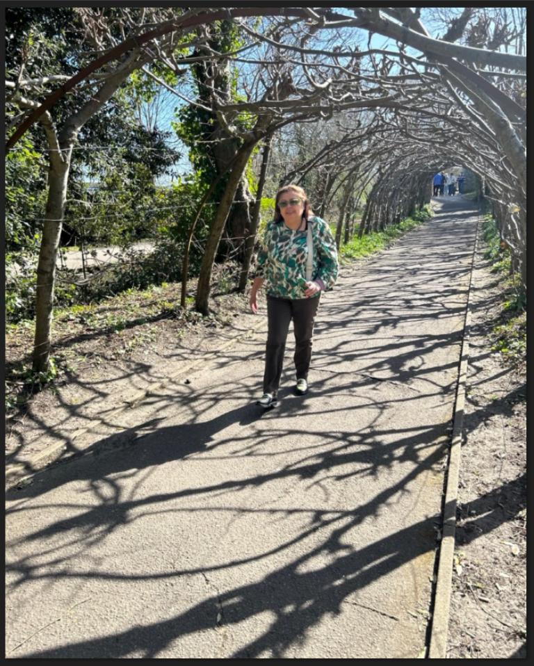 sombras enramadas 2026 03 27 140219